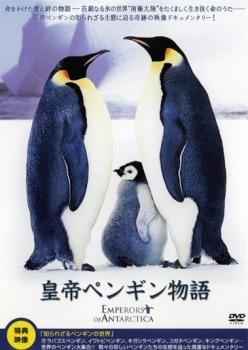 皇帝ペンギン物語 中古DVD レンタル落ち