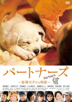 パートナーズ 盲導犬チエの物語 中古DVD レンタル落ち