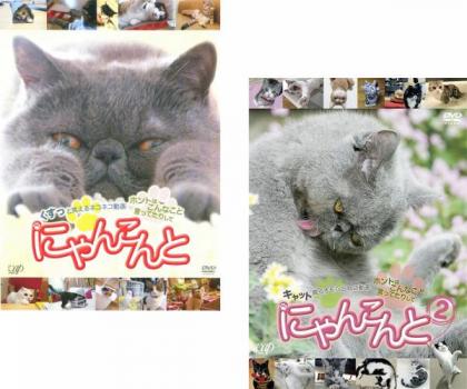 ※※当店で取り扱いを行っている中古ＤＶＤ、中古ブルーレイ、中古ＣＤディスクは全て「ケース無し」になります。ＤＶＤディスクは不織布ケースに入れ、ジャケットとともに送付いたします。※ディスクおよびジャケッ