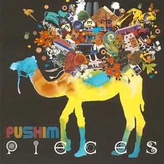 PUSHIM PIECES 期間限定特別価格盤 中古CD レンタル落ち