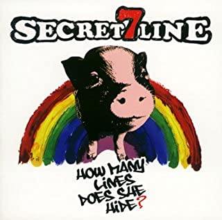 SECRET 7 LINE How many lines does she hide? 中古CD レンタル落ち