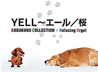 ※※当店で取り扱いを行っている中古ＤＶＤ、中古ブルーレイ、中古ＣＤディスクは全て「ケース無し」になります。ＤＶＤディスクは不織布ケースに入れ、ジャケットとともに送付いたします。※ディスクおよびジャケッ