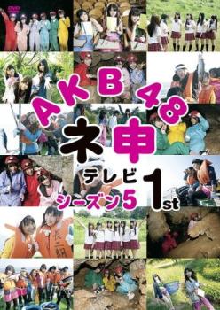 AKB48 ネ申テレビ シーズン5 1st 中古DVD レンタル落ち